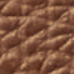 Burnished Brown