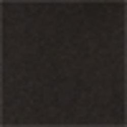 Polo Black