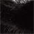 Charcoal Ragg