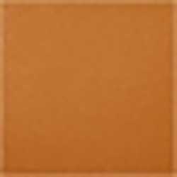 Brown/Monarch Orange