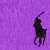 Paloma Purple/Black