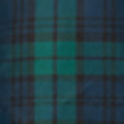 Navy/Green Multi