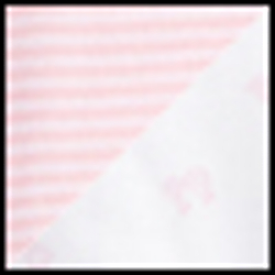 Fresh Pink/White
