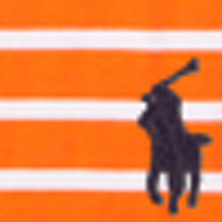 Bright Orange Multi