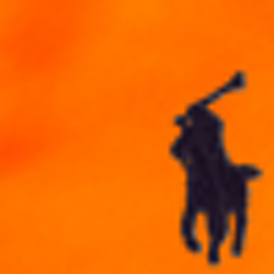 Bright Signal Orange