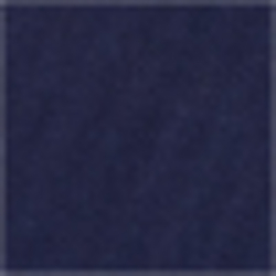 Cruise Navy