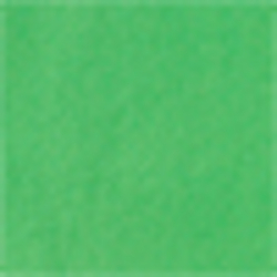 Neon Green