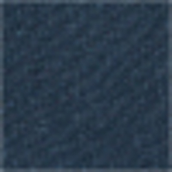 French Navy