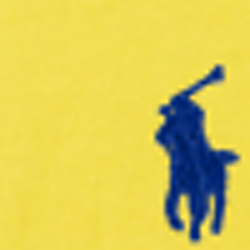 Active Yellow