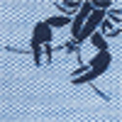 Bsr Blue