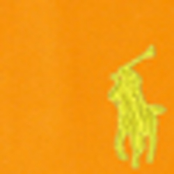 Sun Orange