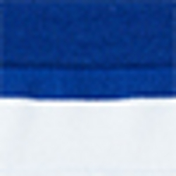 Active Royal/White
