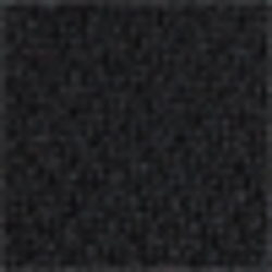 Polo Black