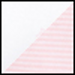 Fresh Pink/White