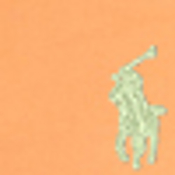 Desert Orange