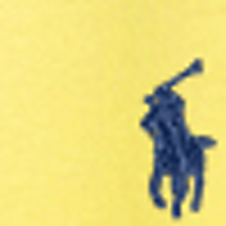 Beach Lemon