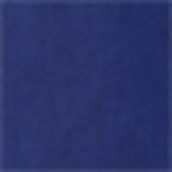 Holiday Navy