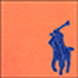 Desert Orange