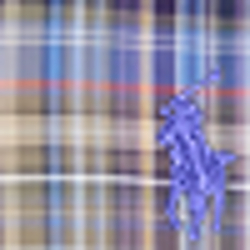 Purple/Tan Multi