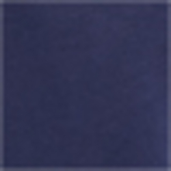 Cruise Navy