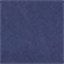 Spring Navy