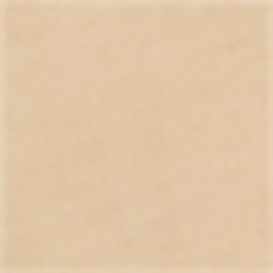 Luxury Tan