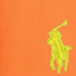 Desert Orange