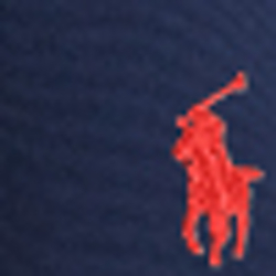 Cruise Navy