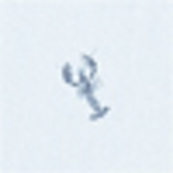 Lobster Print