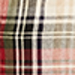 Samson Plaid