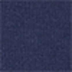 French Navy