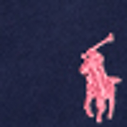 French Navy