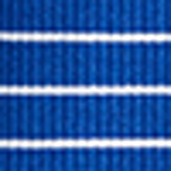 Active Royal/White