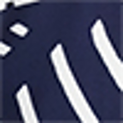 Navy/Antique Ivory