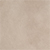 Pale Sepia