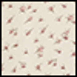 Cream Floral