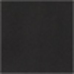 Polo Black