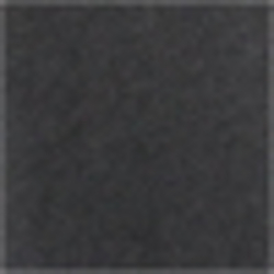 Polo Black