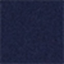 Bright Navy
