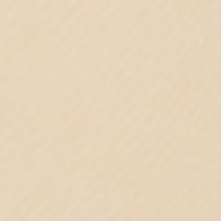 Coastal Beige