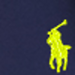 French Navy