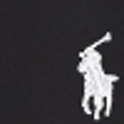 Polo Black