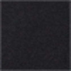 Polo Black