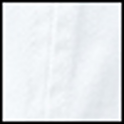 White W/ Holiday Navy