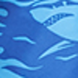 Shark Royal