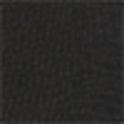 Polo Black