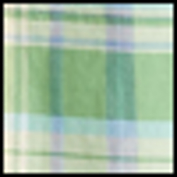 Signal Green/Yellow Mult