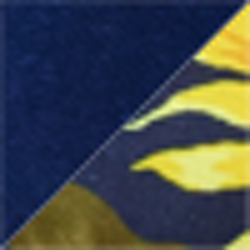 Navy Tropical Floral