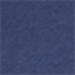 Observer Blue
