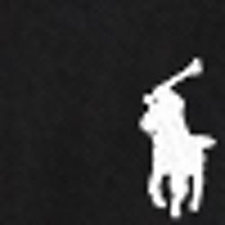 Polo Black/White Sash